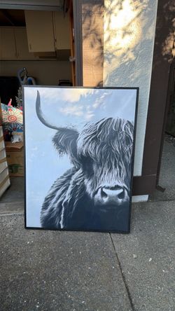 Large black and white photo - highland cow