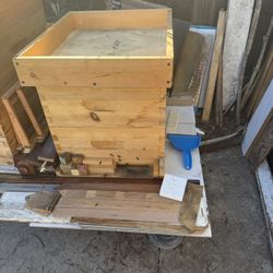 Several Bees Boxes With Live Bees With Queen 