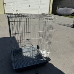 Bird Cage