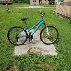 Swhinn21 Speed 26" $35.00 O.B.O.