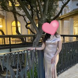 Rose gold Dress 