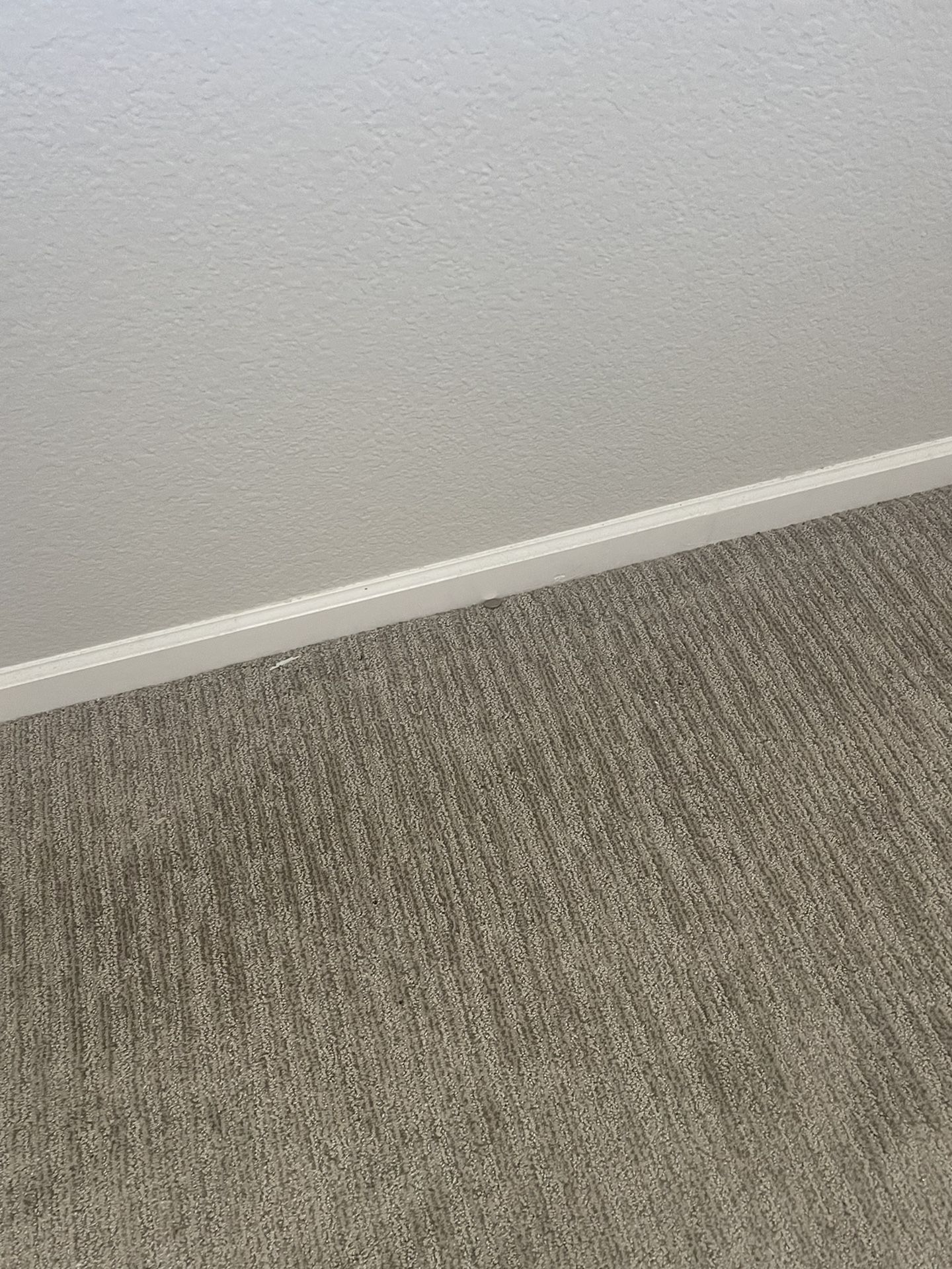 Carpet 8X15 $100 OBO