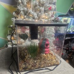 Fish Tank 