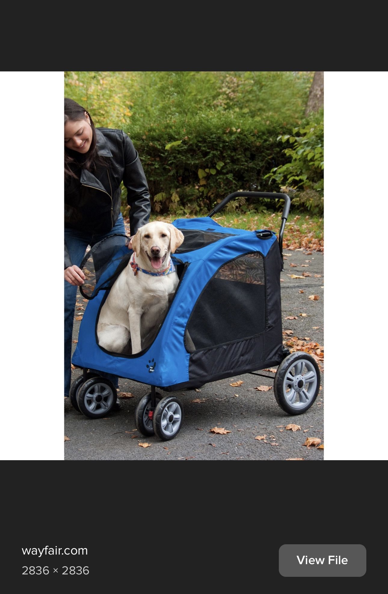 Easy-Fold, Pet Stroller for Large Dog & Medium Dogs!
