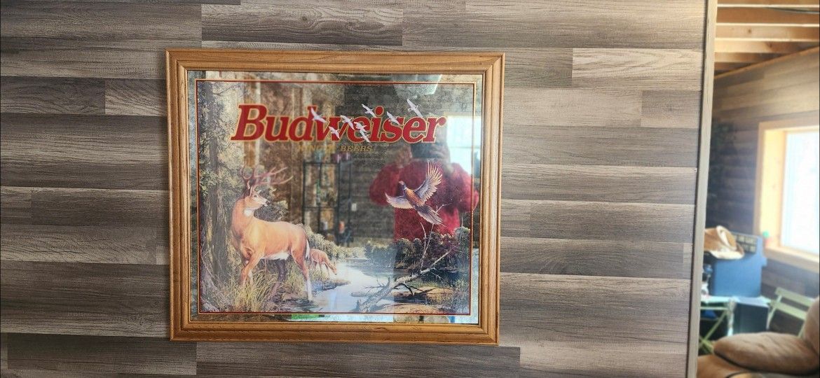 Collector's edition budweiser mira