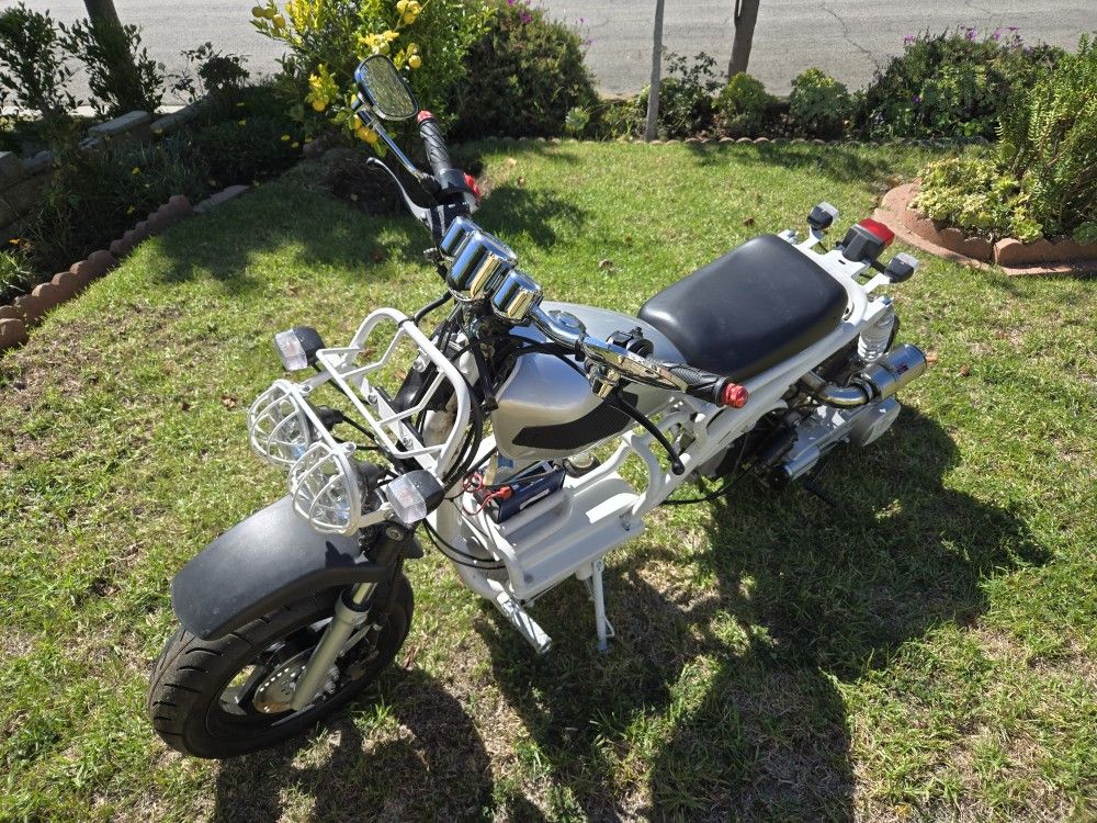 Modified Icebear Mad Dog, Almost New