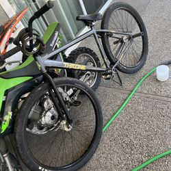 Throne 29 Inch BMX (Send All Reasonable Offers)