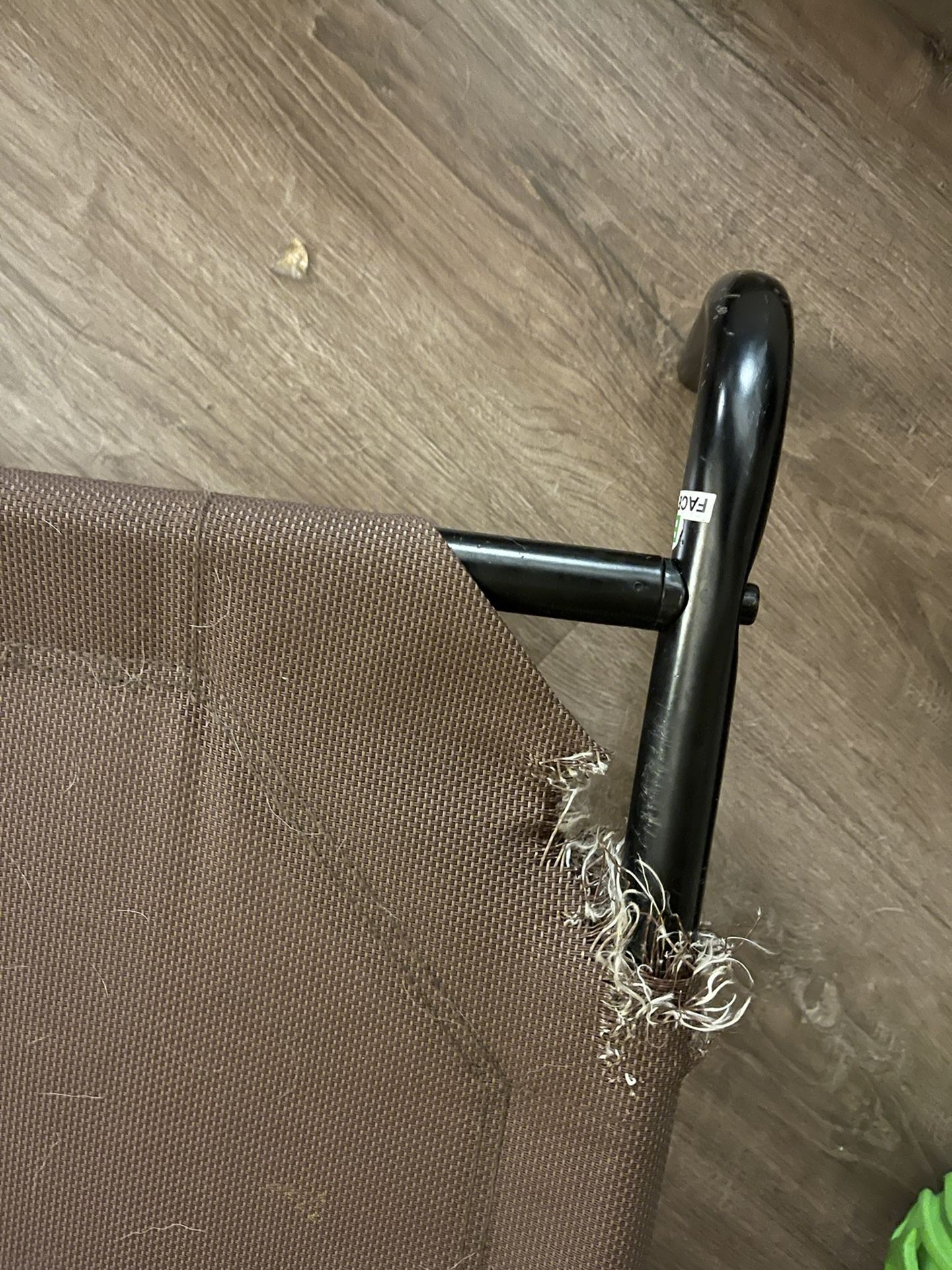 Large Elevated Dog Bed