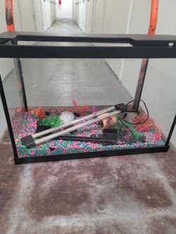 20lb Fish Tank