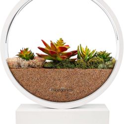 Madganics Indoor Herb Garden – Hydroponic or Soil Growing System, Garden w/LED Growing Lights for Herbs & Plants - Germination Start Kit of Containers