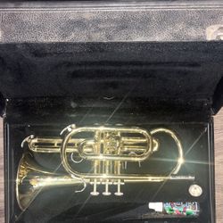 Cornet Cr310