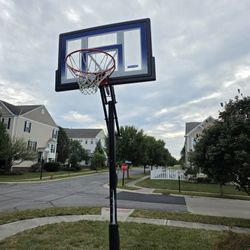 Basketball Hoop $50 Firm