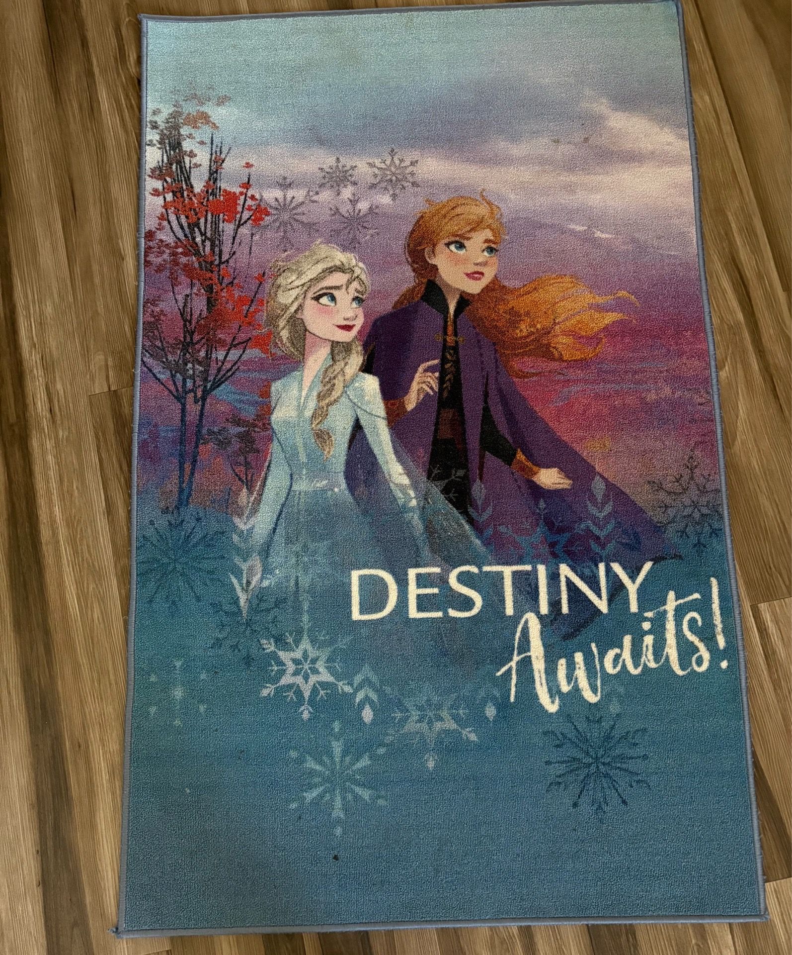 Kids Frozen Destiny Rug. Large size 62”x39” shown on pictures. Can spot clean. Paid $80+. Non smoking and No pets home.