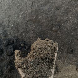 Potting Soil (bulk)