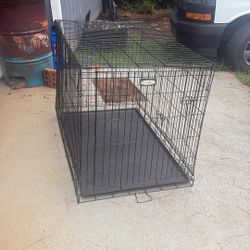Big Dog Cage 