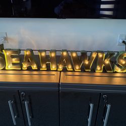 Seahawk Light up Sign!