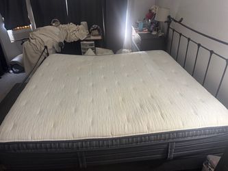 Free King Size Beautyrest Mattress