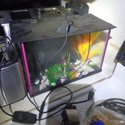 minny fish tank