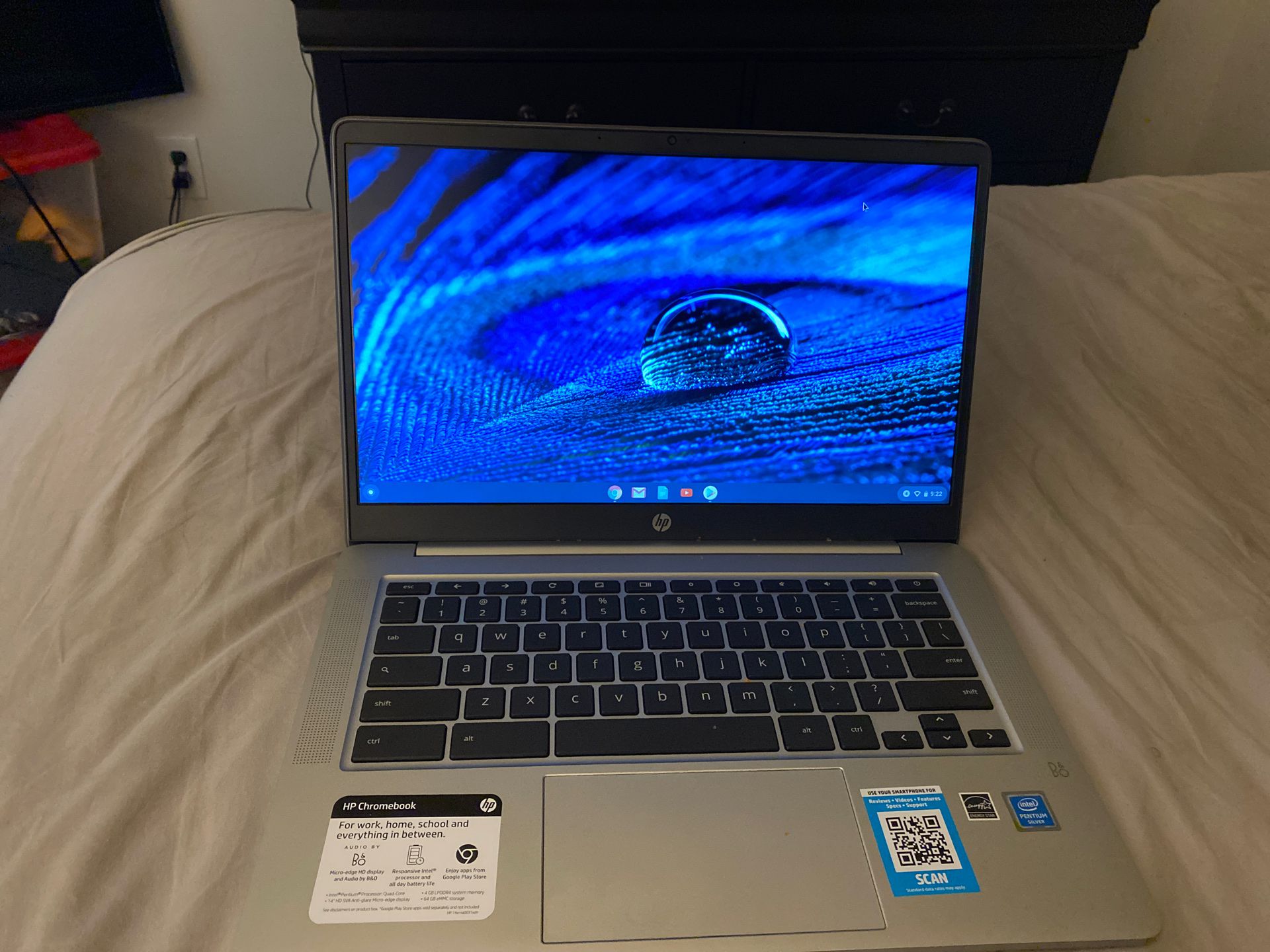 HP Chromebook (laptop)