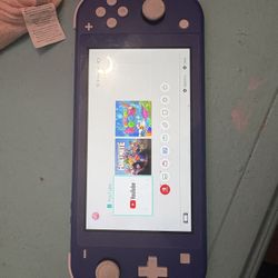 Nintendo Lite 