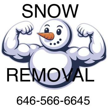 Need Help Shoveling? Call/txt