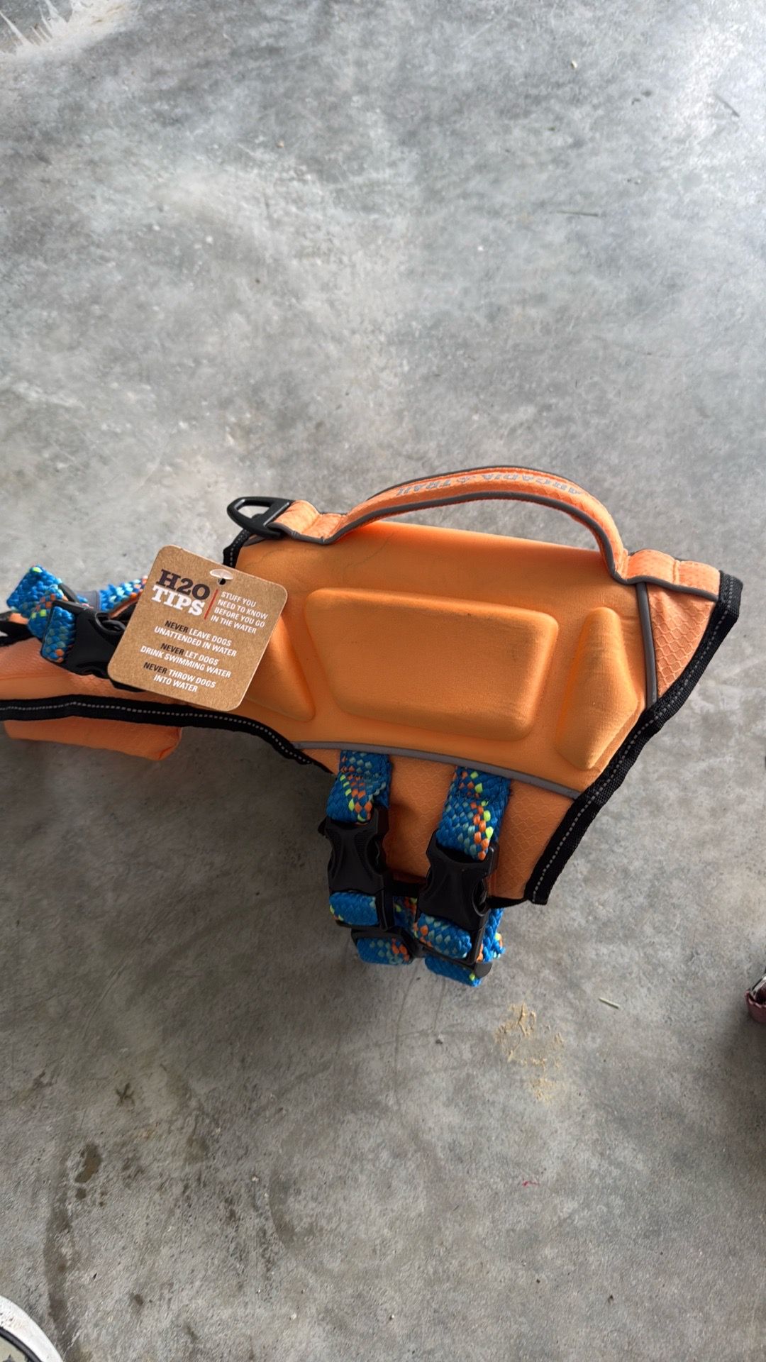 Extra small dog life jacket