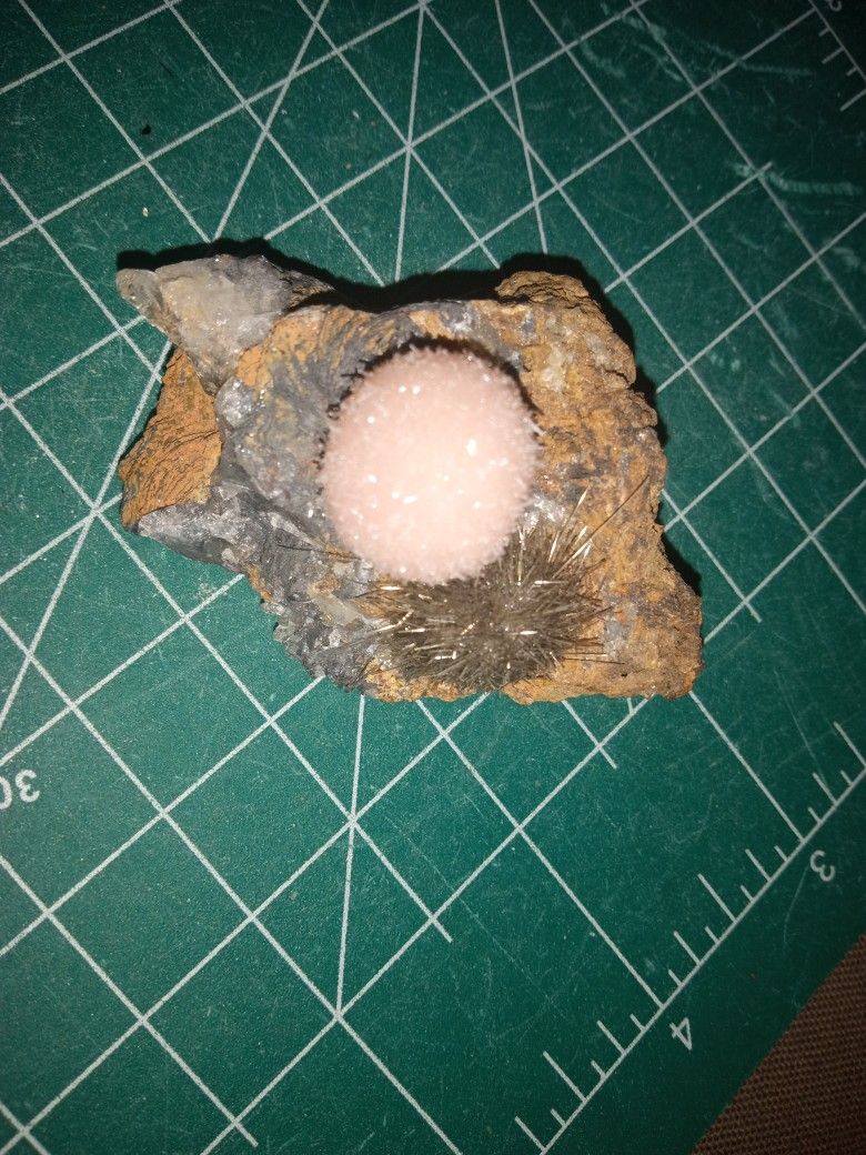 Dandelion Zeolite