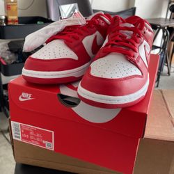 Nike Dunk Sp Size 9M