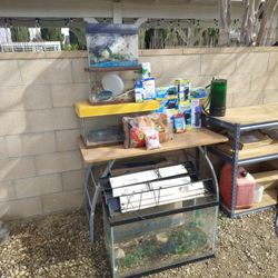 Reptile/ Fish Tanks And Supplies All For 100