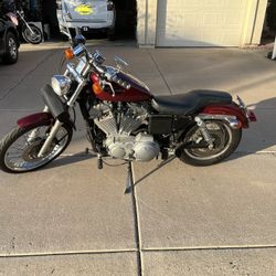 2001 Harley Davidson Sportster 883 Custom