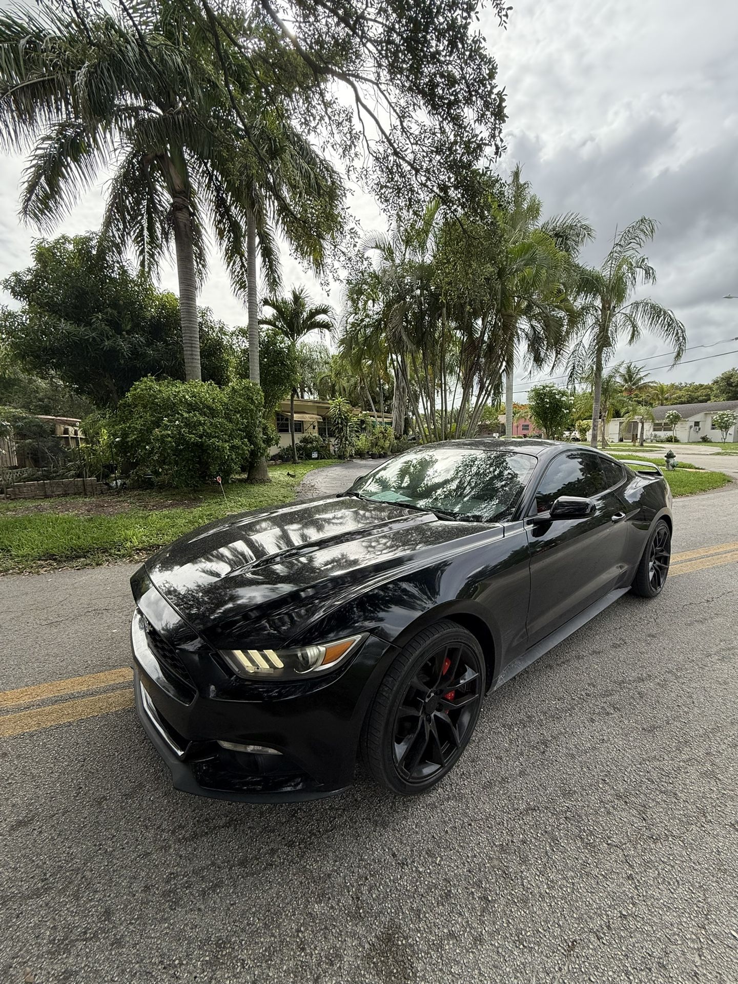 2017 Ford Mustang