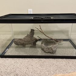 Terrarium for Sale – $100 