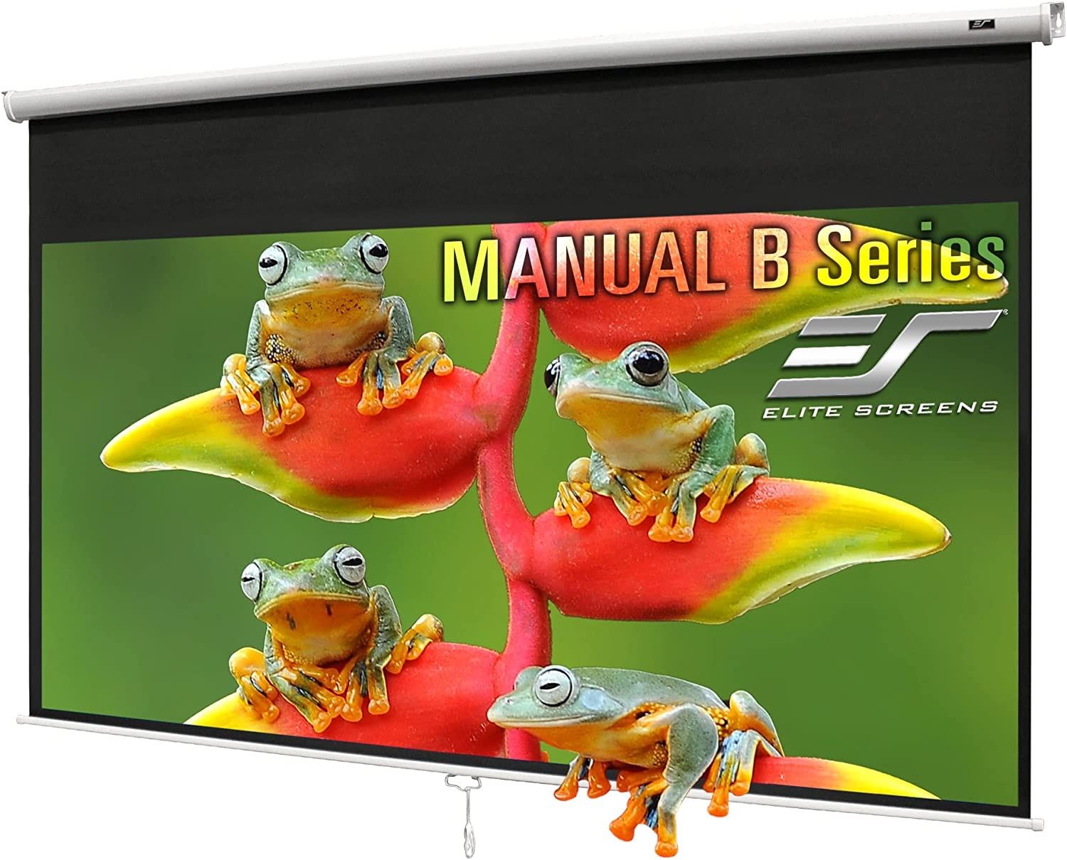 Projector Screen 100 Inch