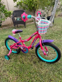 Bike size.16