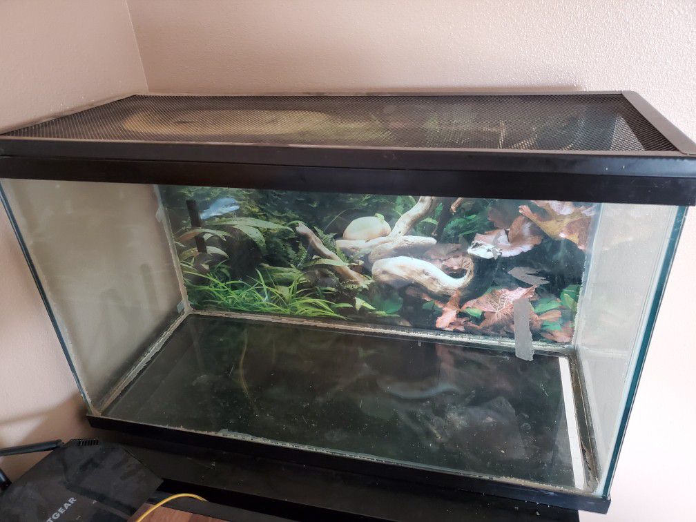 20 gallon lizard/fish tank with metal cover $40 obo