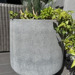 Solid Concrete Flower Pot