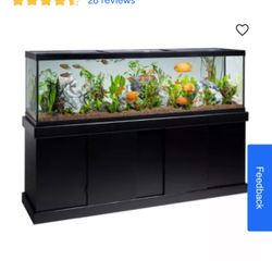 Fish Tank/ Aquarium 