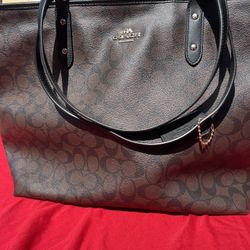 Brown Coach Purse Lg
