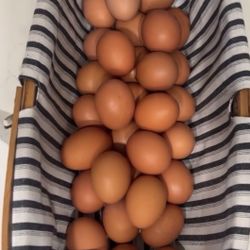 Fresh Organic Eggs $6/dozen (12)