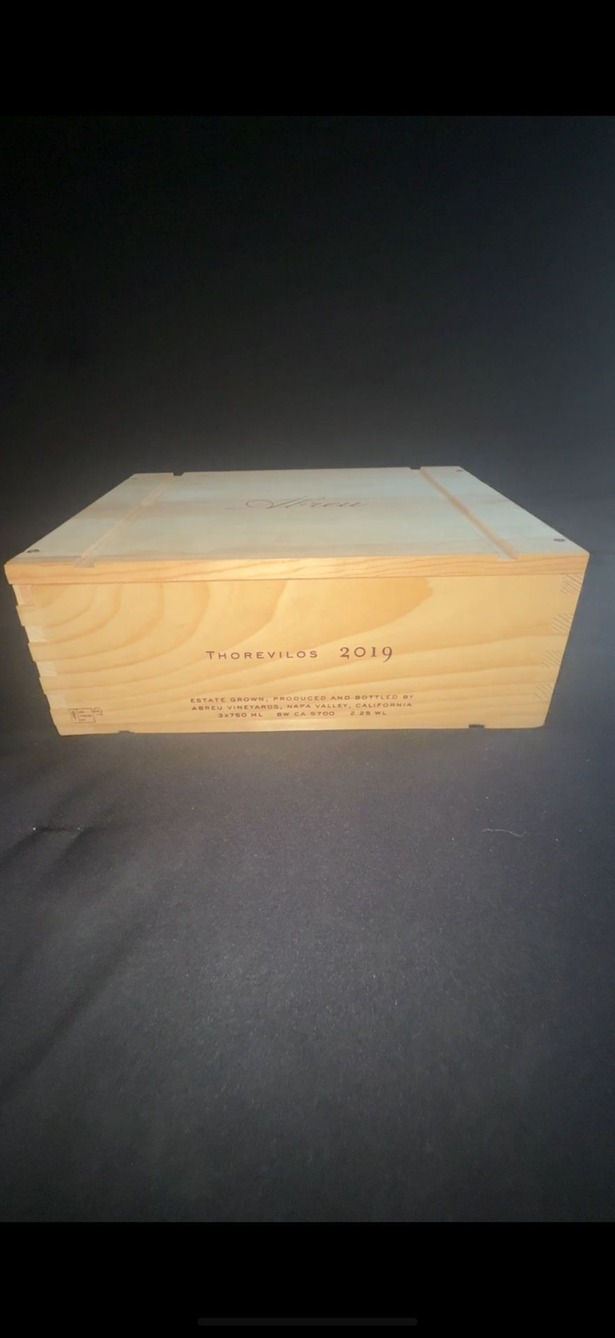 Thorevilos 2019