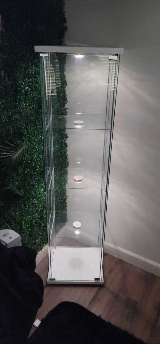 GLASS DISPLAY CASE WITH LIGHTS