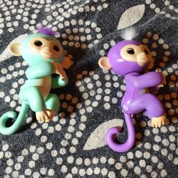 Fingerling Monkey