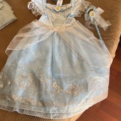 Halloween Cinderella costume