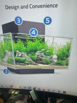 Aquarium fish tank