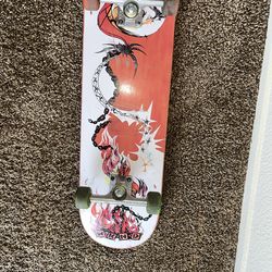 Skateboard