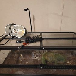 Reptile Enclosure (Full Set Up)