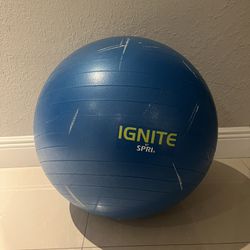 Exercise Ball 55cm Stable Ball