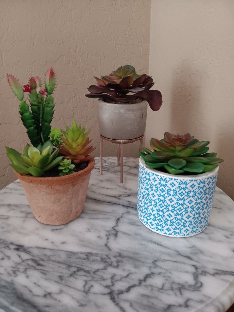 $4 Each All For $10 Artificial Succulents in Pots