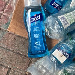 Coast 2 In 1 Shampoo And Body Wash