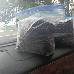 Frozen Huckleberries 